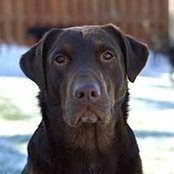 Marcie Majewski's photo