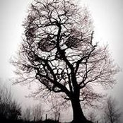 Karyle Bick Byrd's photo