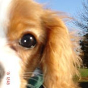 Zoe Scotton's photo