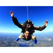 Colleen Farrell's photo