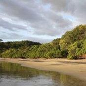 Daniel Borstein's photo