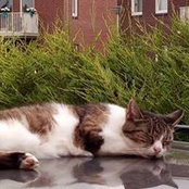 Patrick Jongeruiter's photo