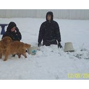 Patty Armstrong's photo