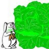 Peter Lindahl's photo