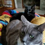 Nikki Fabs's photo