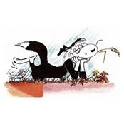 Alistair Mackay's photo