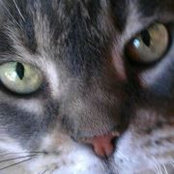 Michele Johnson's photo