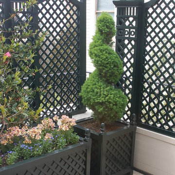 Balconies / terrace
