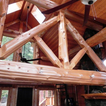 The Ruby Lake Log Fusion Design