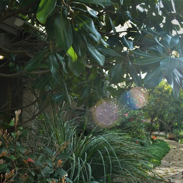 Rural Garden