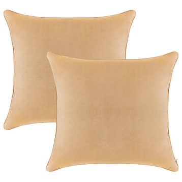 A1HC Soft Velvet Pillow Covers, YKK Zipper, Set of 2, Mocha, 24"x24"