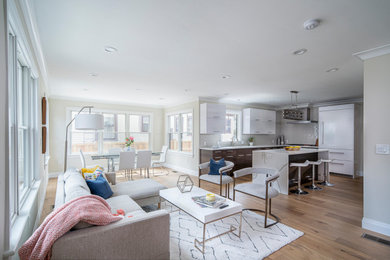 Living room - mid-sized modern living room idea in Boston
