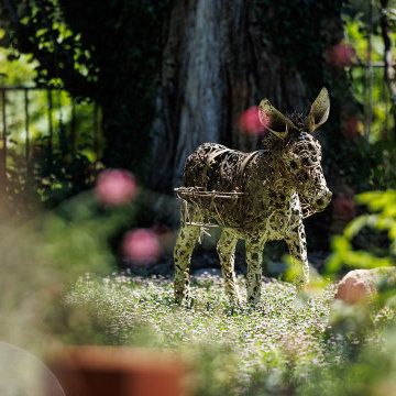 Jardin provençal à Gordes