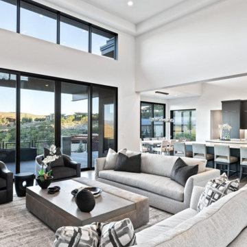 Mountain modern living spaces