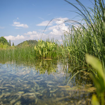 Swimming-Teich in den Bergen