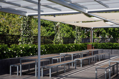 Design ideas for a small contemporary courtyard partial sun formal garden in Sydney.