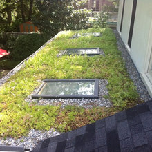 webuser_9498388's Ideas