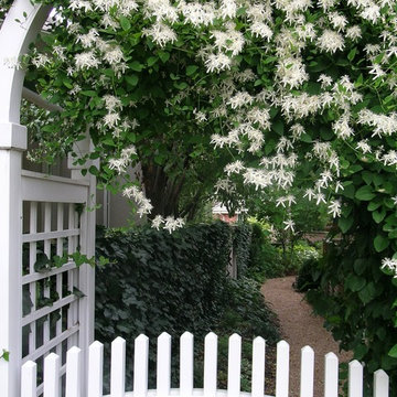 garden Path