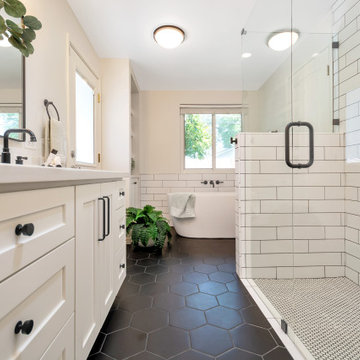 Master Bathroom Remodel (Kekic)