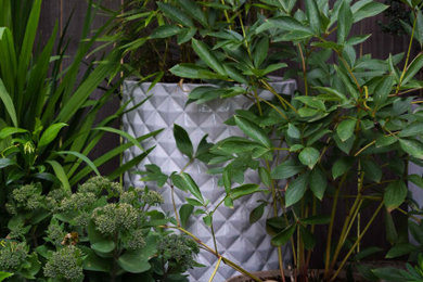 This is an example of a small contemporary drought-tolerant and partial sun backyard concrete paver landscaping in Portland.