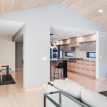 Minimalist Modern Kitchen