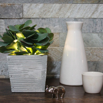 Lumiere - Illuminated Succulents, Kalanchoe in Wood Box