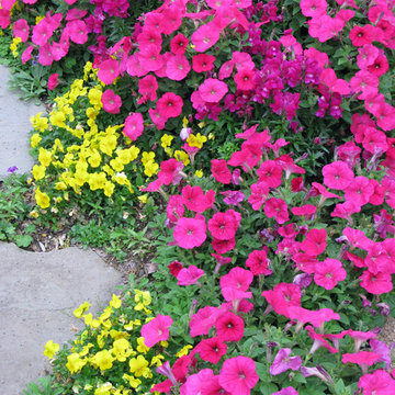 Miscellaneous Gardens and Pretty Things