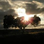 Catarina Monge's photo