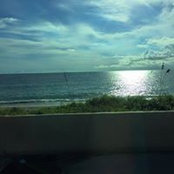 Norene King's photo