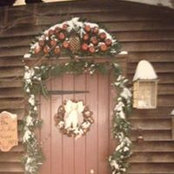 Donna Stoltzfus's photo