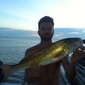 Hector Santos S's photo