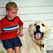 Amanda Ellis's photo