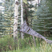 Meghan Croxton's photo