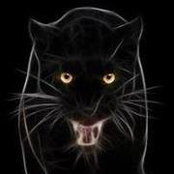 JosèLheos Panther Panther's photo