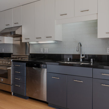 Interior remodeling- Dog -Patch apartment