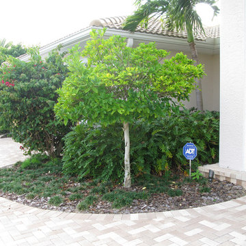 Before the transformation, a typical front entrance bed