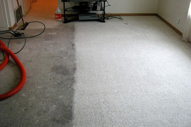 carpet cleaning