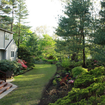 Boston Hillside Made in the Shade| Long View