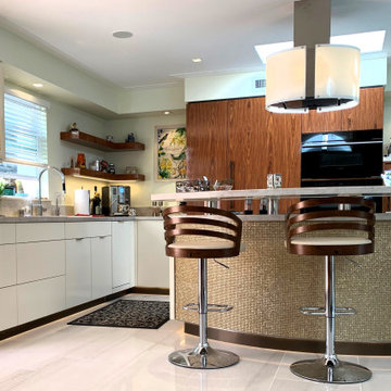 Laguna Woods Contemporary