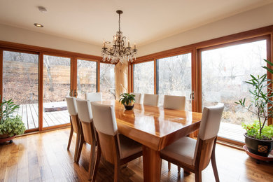 Inspiration for a transitional dining room remodel in Other
