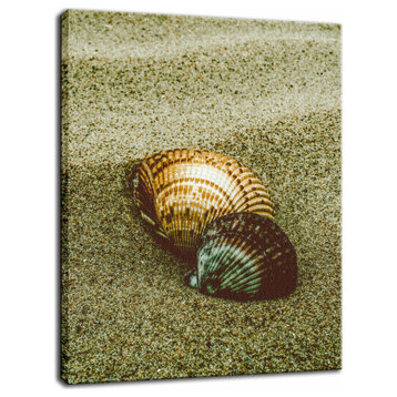 Dreamy Beach Seashells Coastal Nature Photo Canvas Wall Art Print, 12" X 16"