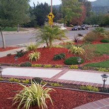 front yard