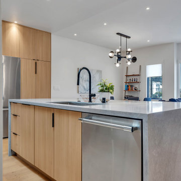Potrero Hill - Complete Home Remodeling