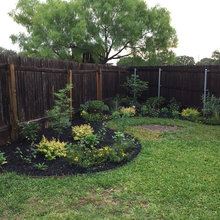 Landscape Ideas