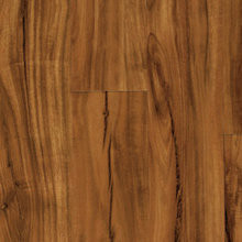 Vinyl Flooring Downstairs