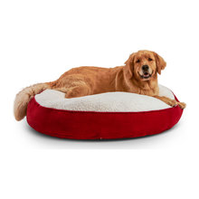Dog Stuff