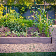 Outdoor Ideas