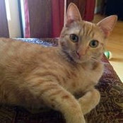 Melissa Scriviner's photo
