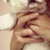 Alecsandra Petre's photo