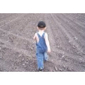 Rhonda Koons's photo